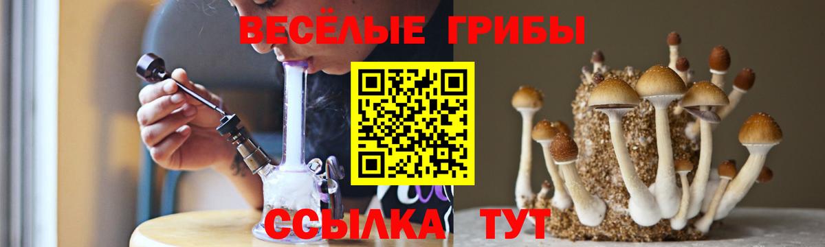 Галлюциногенные грибы MAGIC MUSHROOMS Ялта